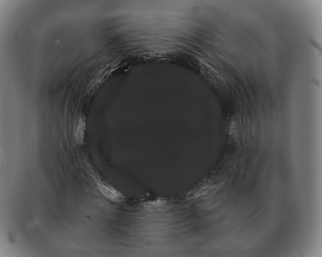 X0000091190868200708231506