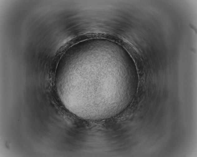 X0000091190870200708231506