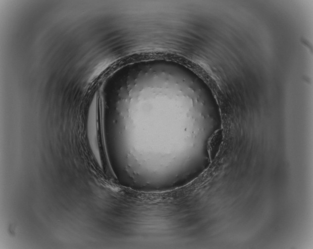 X0000091190871200708231506