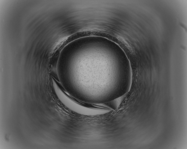 X0000091190872200708231506