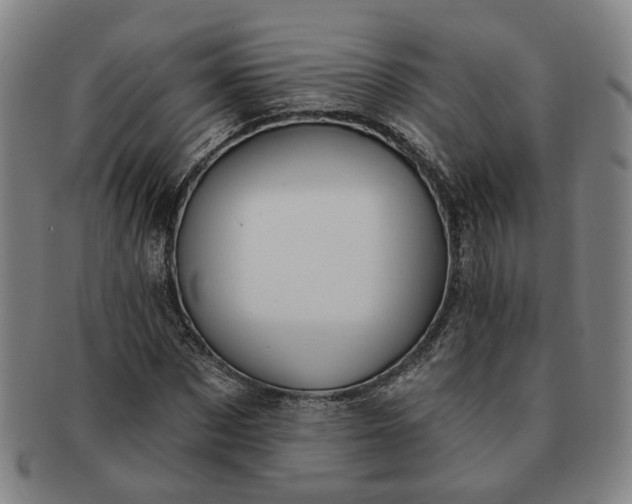 X0000091190873200708231506