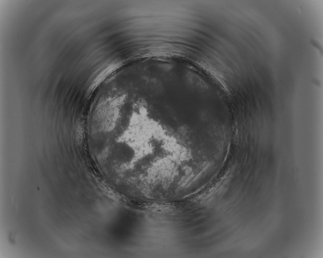 X0000091190874200708231506