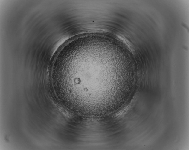 X0000091190875200708231506