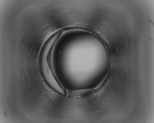 X0000091190876200708231506