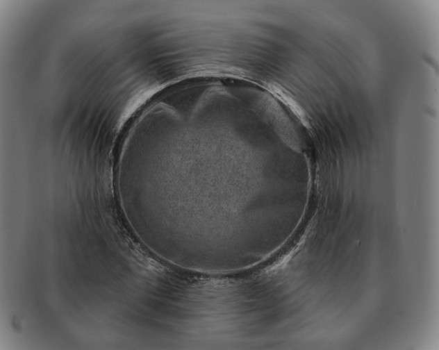 X0000091190877200708231506