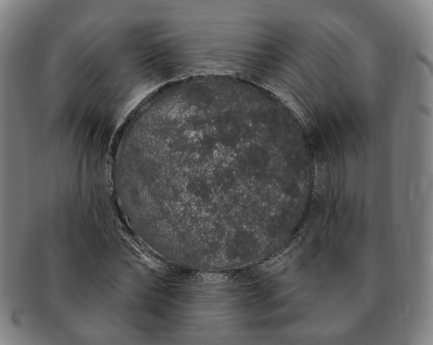 X0000091190878200708231506