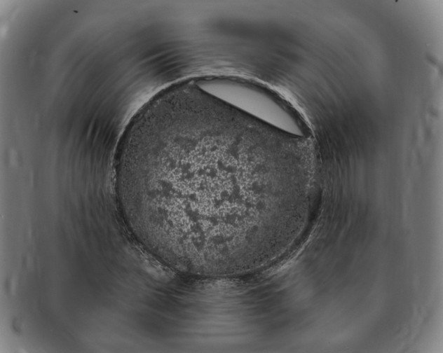 X0000091190879200708231506