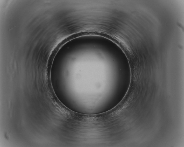 X0000091190880200708231506