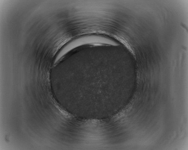 X0000091190881200708231506