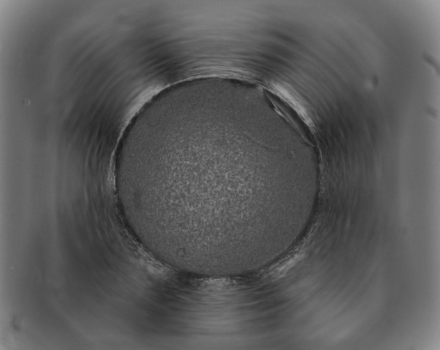 X0000091190883200708231506