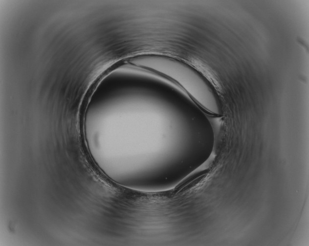 X0000091190884200708231506