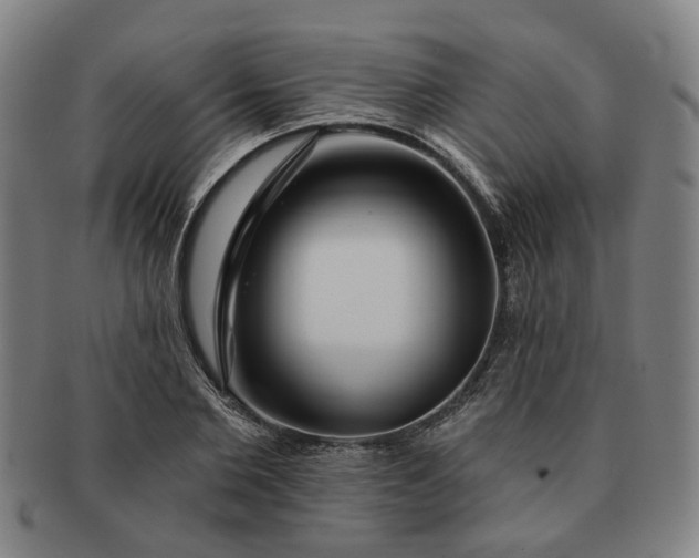 X0000091190885200708231506