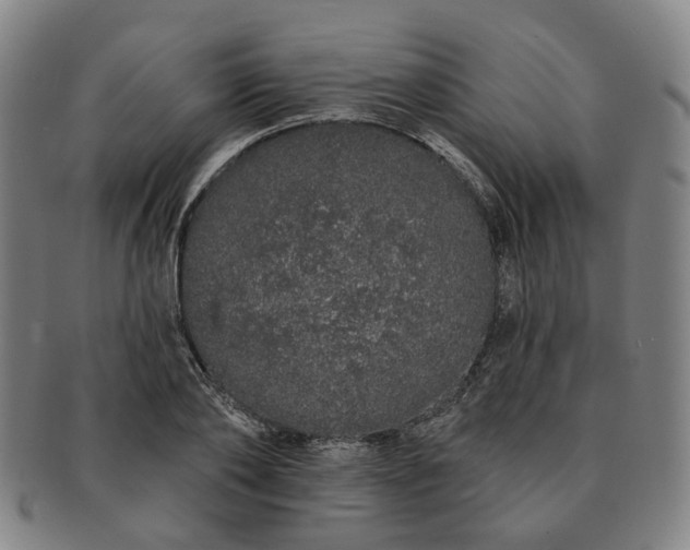 X0000091190886200708231506