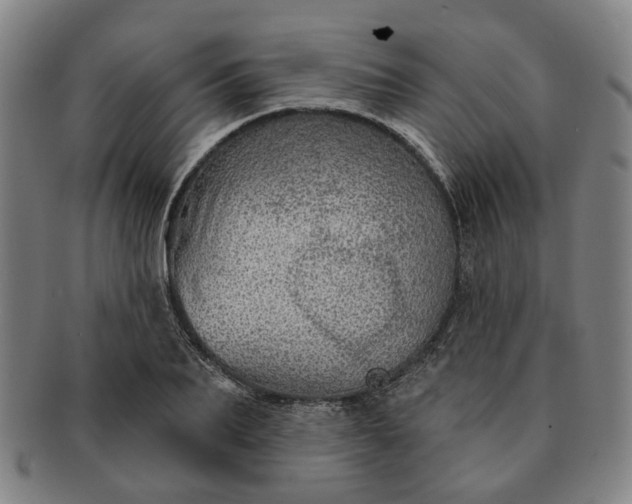 X0000091190887200708231506