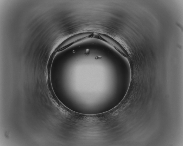 X0000091190888200708231506