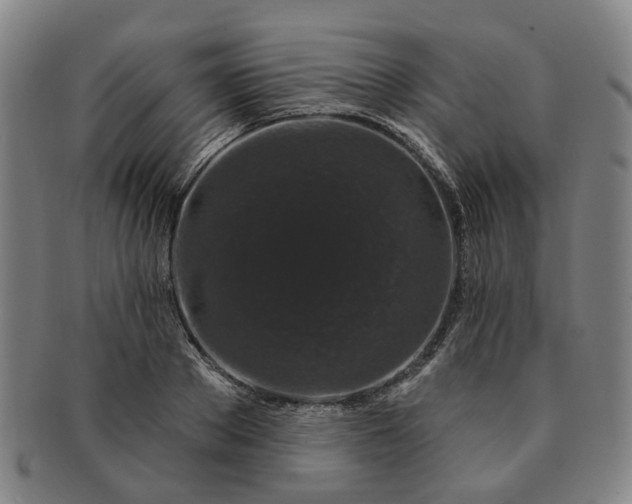 X0000091190889200708231506