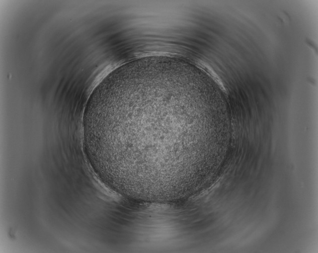 X0000091190890200708231506