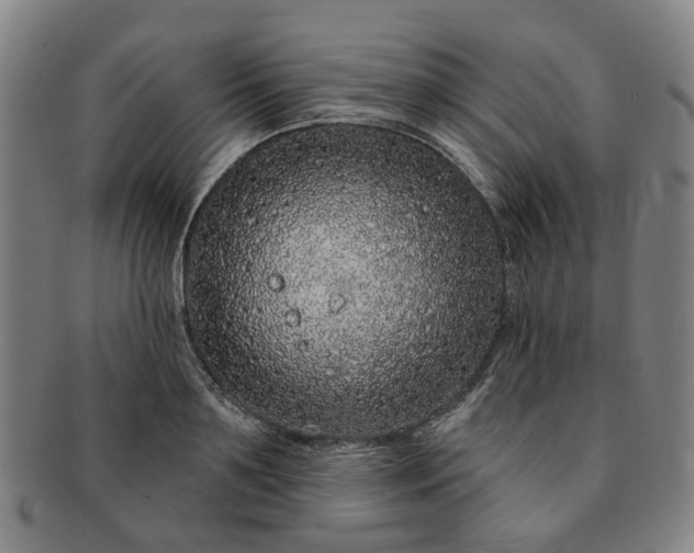 X0000091190891200708231506