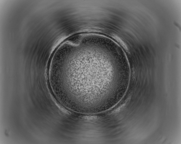 X0000091190893200708231506