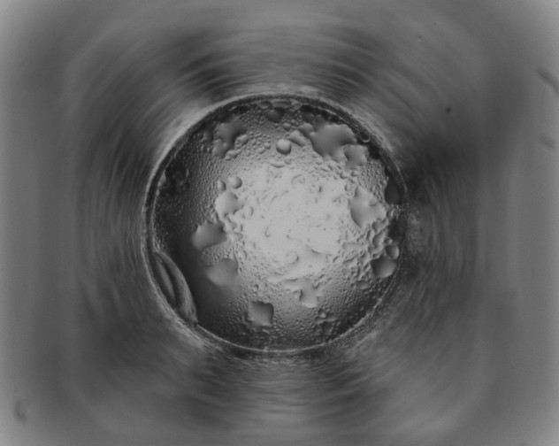 X0000091190895200708231506