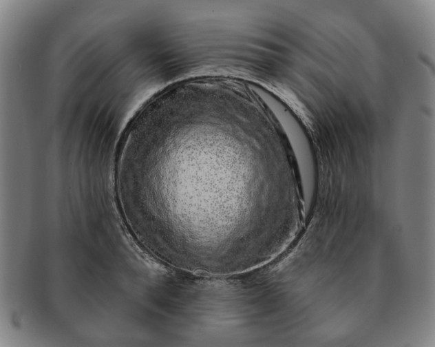 X0000091190896200708231506