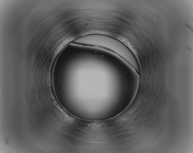 X0000091190898200708231506