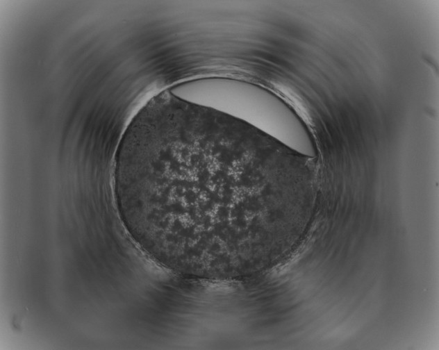 X0000091190899200708231506