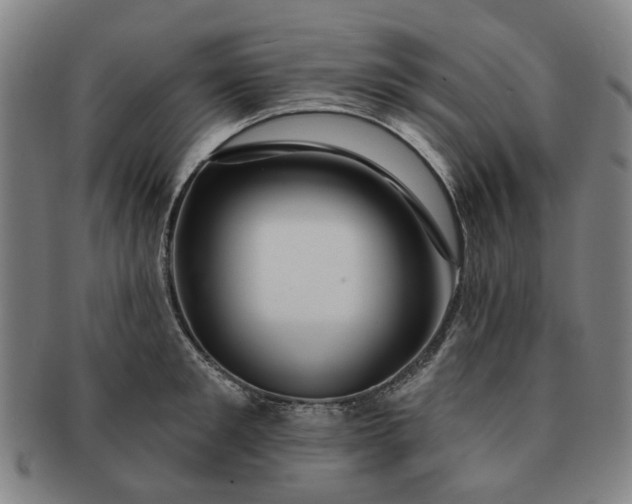 X0000091190901200708231506