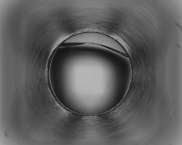 X0000091190902200708231506