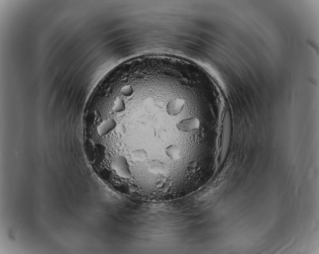 X0000091190903200708231506