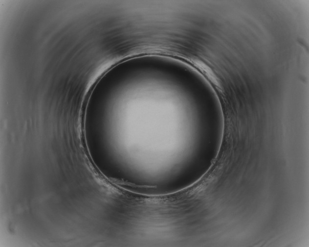 X0000091190904200708231506