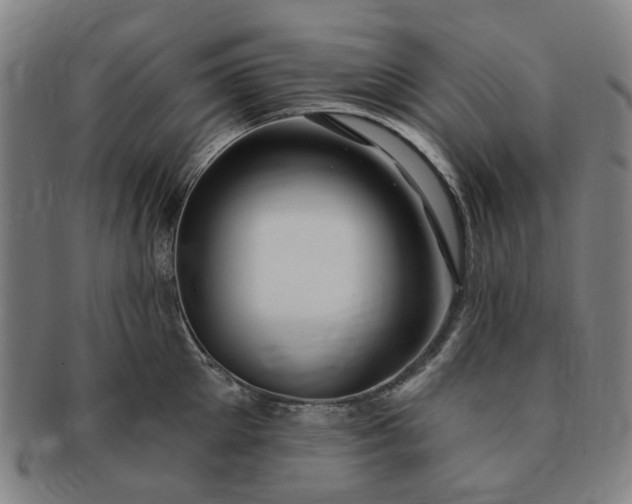 X0000091190905200708231506