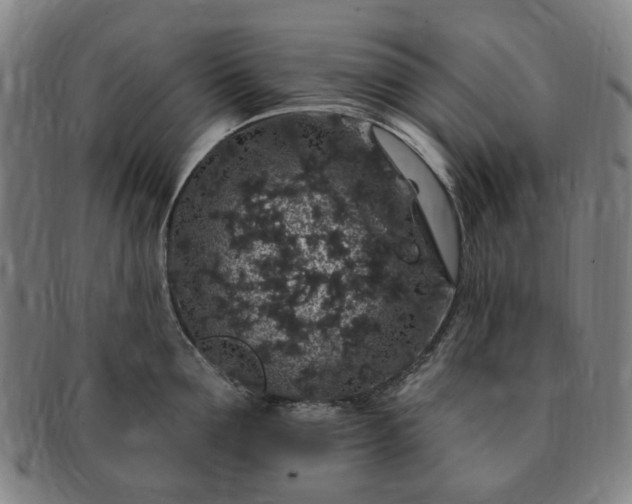 X0000091190907200708231506