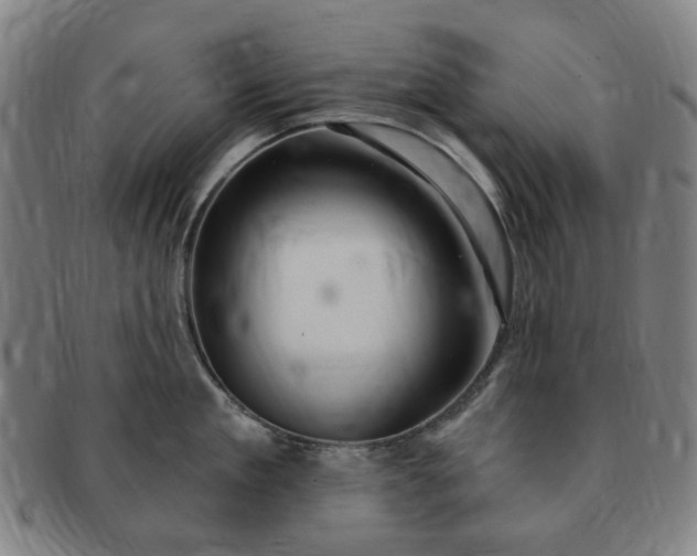 X0000091190909200708231506