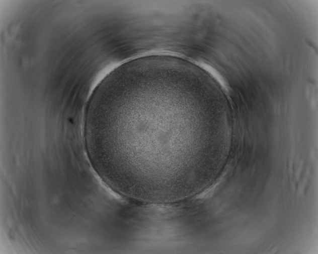 X0000091190910200708231506