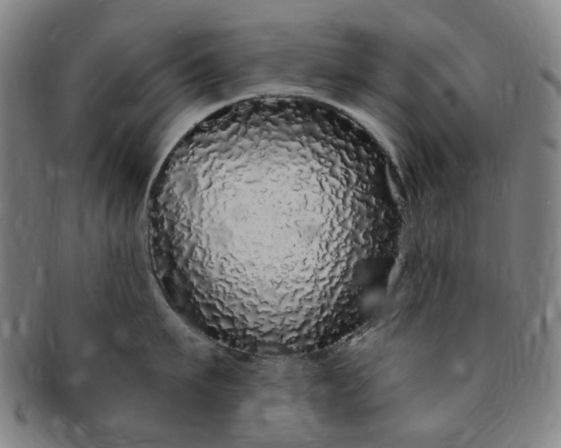 X0000091190911200708231506