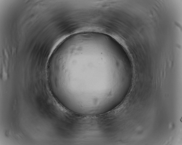 X0000091190912200708231506