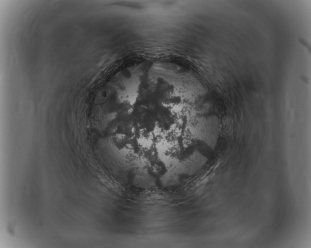 X0000091190913200708231505