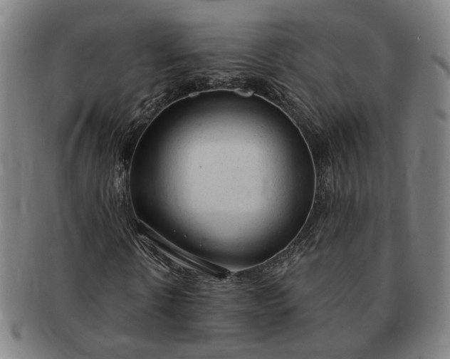 X0000091190914200708231505