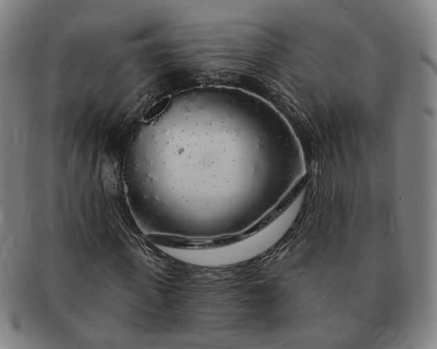 X0000091190915200708231505