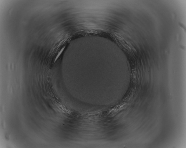 X0000091190916200708231505