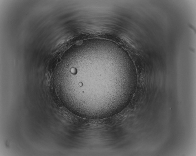 X0000091190917200708231505