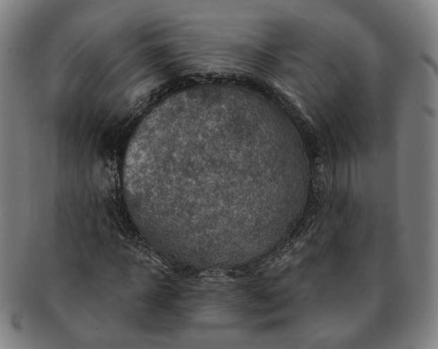 X0000091190918200708231505