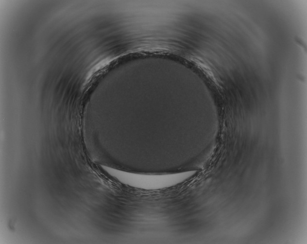 X0000091190920200708231505