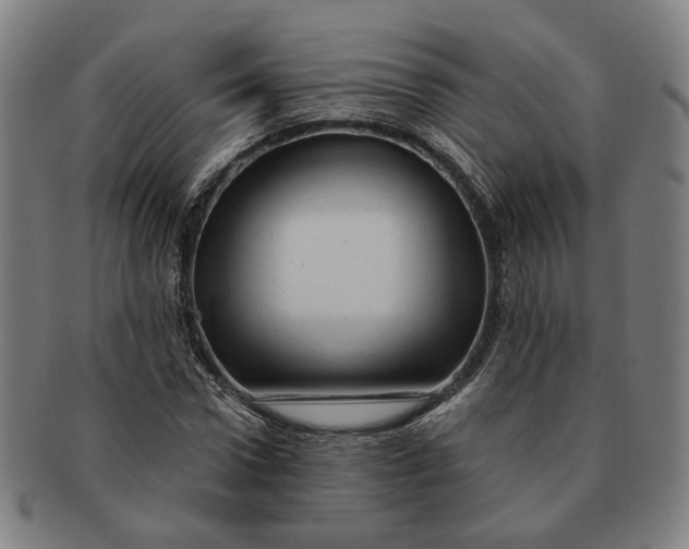 X0000091190922200708231505