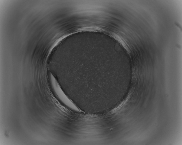 X0000091190923200708231505