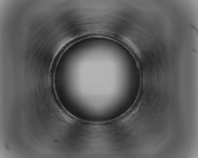 X0000091190924200708231505