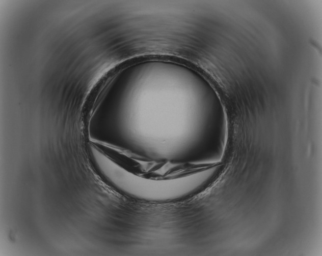 X0000091190926200708231505