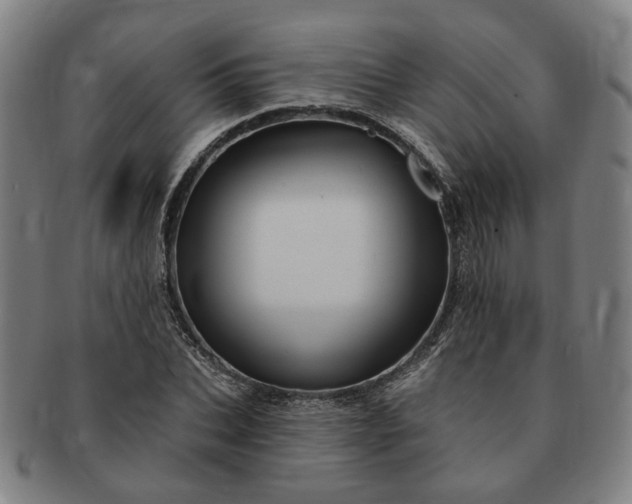 X0000091190927200708231505