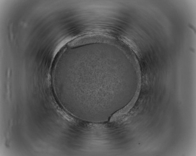 X0000091190928200708231505